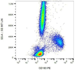 Surface staining of human peripheral blood using Anti-CD163 Antibody (A86217)