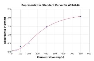 Representative standard curve for human Eph Receptor B4/HTK ELISA kit (A314244)