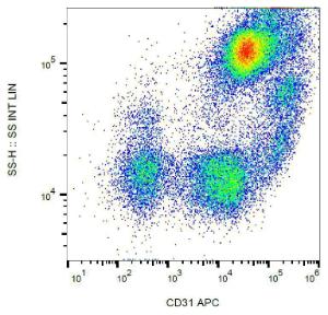 Surface staining of human peripheral blood with Anti-CD31 Antibody (A86225)