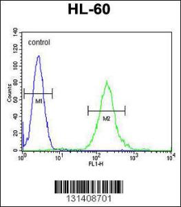 Anti-SOS2 Rabbit Polyclonal Antibody (PE (Phycoerythrin))