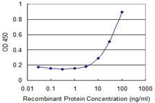 Anti-COLEC10 Mouse Monoclonal Antibody [clone: 2F9]