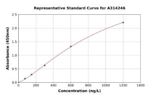 Representative standard curve for mouse Cd2ap ELISA kit (A314246)