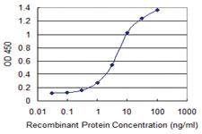 Anti-PDZD3 Mouse Monoclonal Antibody [clone: 1F2]