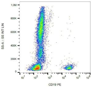 Anti-CD19 Mouse Monoclonal Antibody [Clone: LT19] (PE (Phycoerythrin))