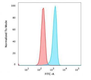 Flow cytometric analysis of PFA fixed HeLa cells using Anti-beta Catenin Antibody [rCTNNB1/1507] followed by Goat Anti-Mouse IgG (CF and #174; 488) (Blue). Isotype Control (Red)