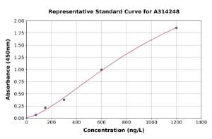 Representative standard curve for mouse Musashi 1/Msi1 ELISA kit (A314248)