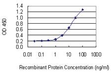 Anti-FAM65B Mouse Monoclonal Antibody [clone: 2F6-1A11]