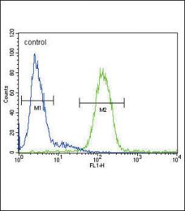 Anti-CP Rabbit Polyclonal Antibody