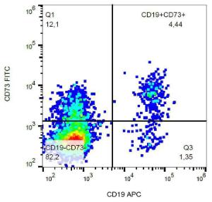 Surface staining (flow cytometry) of human peripheral blood with Anti-CD73 Antibody (A86301).