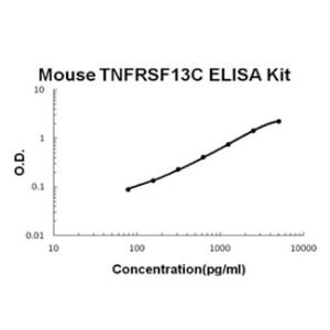 BSBTEK1122 - MOUSE TNFRSF13C/BAFFR PICOKINE ELISA KIT