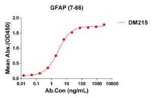 ELISA plate pre-coated by 1  µg/ml (100 µl/well) Recombinant Human GFAP Protein (Fc Tag) (A318078) can bind Anti-GFAP Antibody [DM215] - Azide free (A318495) in a linear range of 1-50  µg/ml