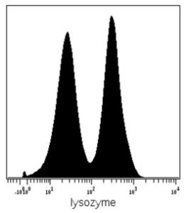 Intracellular staining (mass cytometry) of PBMC after Ficoll-Paque separation with Anti-Lysozyme Antibody (A86332) Gated on native