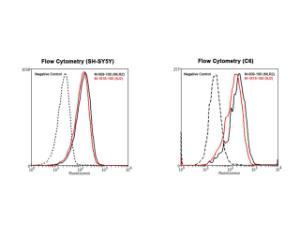 Analysis of p75NTR expression in human SH-SY5Y and rat C6 cell lines by Flow Cytometry. Primary antibody: Mouse monoclonal antibodies to p75NTR clone 8J2 (red) and clone mlR2 (black). Negative control: Non-specific Control IgG clone X63.