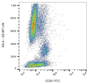 Surface staining of CD84 in human peripheral blood with Anti-CD84 Antibody (A86340)