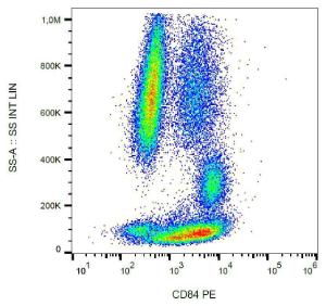 Surface staining of CD84 in human peripheral blood with Anti-CD84 Antibody (A86343)