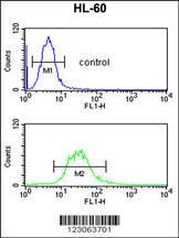 Anti-CEP128 Rabbit Polyclonal Antibody (APC (Allophycocyanin))