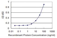 Anti-ZFYVE16 Mouse Monoclonal Antibody [clone: 2E2]