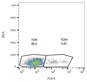 Surface staining of human peripheral blood lymphocytes with Anti-TCR gamma/delta Antibody (A86344).