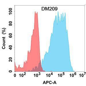 Flow cytometry analysis with Anti-NRG1 Antibody [DM209] - Azide free (A318500) on Expi293 cells transfected with human NRG1 (blue histogram) or Expi293 transfected with irrelevant protein (red histogram)