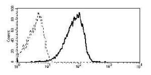 Anti-CD361 antibody