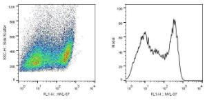 Antibody anti-SCIMP NVL-07 100 µg