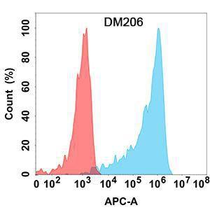 Anti-IL-15RA antibody