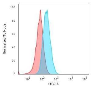 Anti-HLA DQ antibody