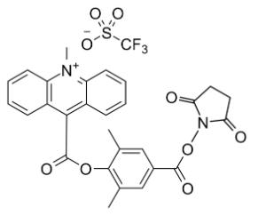 N-me-dmae nhs ester 26005 5 mg