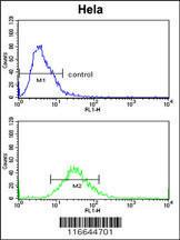 Anti-CLASP2 Rabbit Polyclonal Antibody (Biotin)