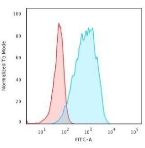 Flow cytometric analysis of Raji cells using Anti-HLA DQ Antibody [HLA-DQA1/2866R] followed by Goat Anti-Rabbit IgG (CF&#174; 488) (Blue). Isotype Control (Red).