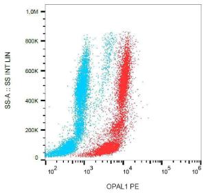 Flow cytometry analysis of OPAL1 in human peripheral blood + lyophilized SP2 cells using Anti-OPAL1 Antibody (A86383)