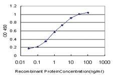 Anti-HTLV1 Mouse Monoclonal Antibody [clone: 2C3]