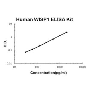 BSBTEK1204 - HUMAN WISP1/CCN4 PICOKINE ELISA KIT