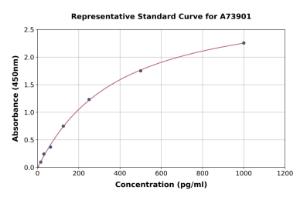 Representative standard curve for Human Cytokeratin 13 ELISA kit