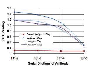 Anti-BPTF Mouse Monoclonal Antibody [clone: 2F10]