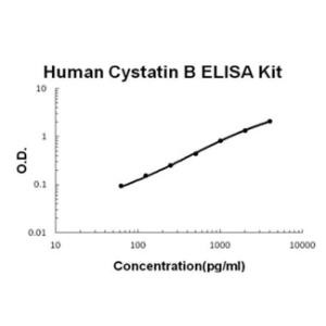 BSBTEK1205 - HUMAN CYSTATIN B PICOKINE ELISA KIT