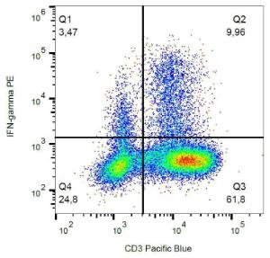 Intracellular staining of IFN gamma in PHA-activated human PBMC with Anti-IFN gamma Antibody (A86384)