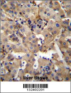 Anti-SGPL1 Rabbit Polyclonal Antibody (Biotin)