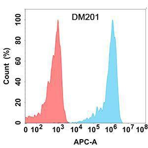 Flow cytometry analysis with Anti-CD30-L Antibody [DM201] - Azide free (A318508) on Expi293 cells transfected with human CD30L (blue histogram) or Expi293 transfected with irrelevant protein (red histogram)