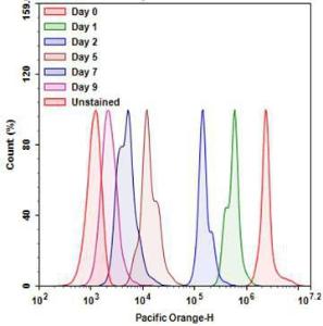 Cytotell/trade viol 22248