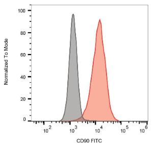 Antibody anti-CD90 5E10 FITC