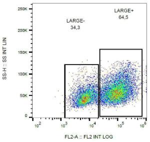 Flow cytometry analysis of LARGE1 in HEK293-LARGE1 transfectants using Anti-LARGE1 Antibody (A86413)