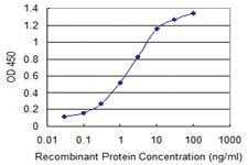 Anti-AHSG Mouse Monoclonal Antibody [clone: 3C9]