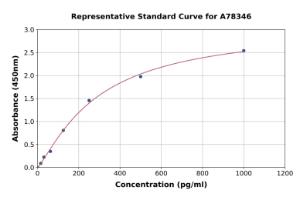 Representative standard curve for Rat Omentin/ITLN1 ELISA kit (A78346)