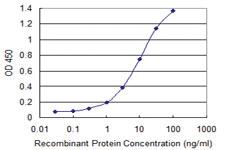 Anti-CEMIP Mouse Monoclonal Antibody [clone: 3C12]