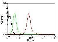 Anti-pan Cytokeratin Mouse Monoclonal Antibody [Clone: AE-1/AE-3]