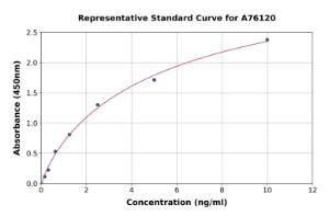 Representative standard curve for Mouse CD166 ELISA kit (A76120)