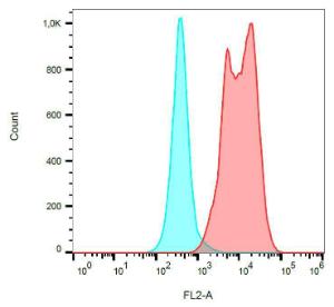 Surface staining of PMA/ionomycin-activated PBMC using Anti-CD154 Antibody (A86423)