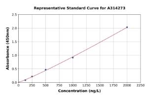 Representative standard curve for human BIN1 ELISA kit (A314273)