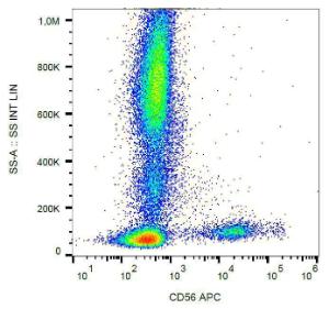 Surface staining of human peripheral blood with Anti-CD56 Antibody (A86431)